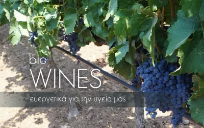 Βιολογικό κρασί: Τα 10 οφέλη του στην υγεία