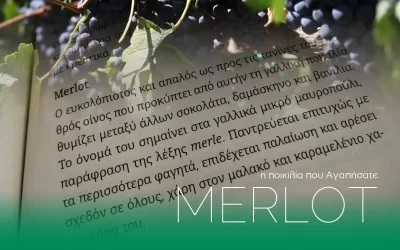 Τα merlot του φθινοπώρου: 7 Νοεμβρίου γιορτάζουμε ένα μοναδικό κρασί