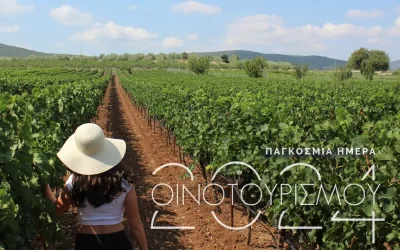 Παγκόσμια Ημέρα Οινοτουρισμού 2024: Οι προοπτικές, οι δράσεις, το όραμα των οινοποιών