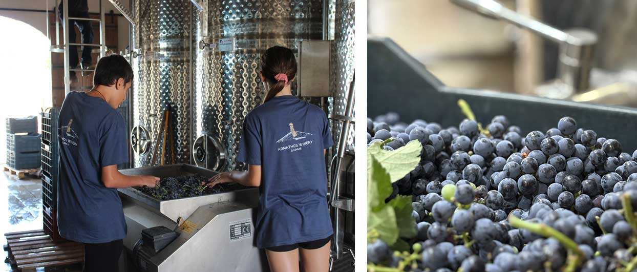 Χειροποίητο κρασί Άρμαθος σερβίρεται εντός πολυτελούς yacht — εμπειρία υψηλής αισθητικής