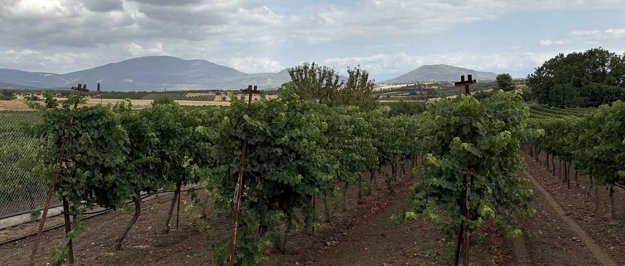 Φίλοι μοιράζονται στιγμές και απολαμβάνουν Άρμαθος εν πλω, σε ιδιωτικό ταξίδι αναψυχής.