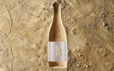 Τα κρασιά που αξίζουν μια θέση στην κάβα σας το 2026